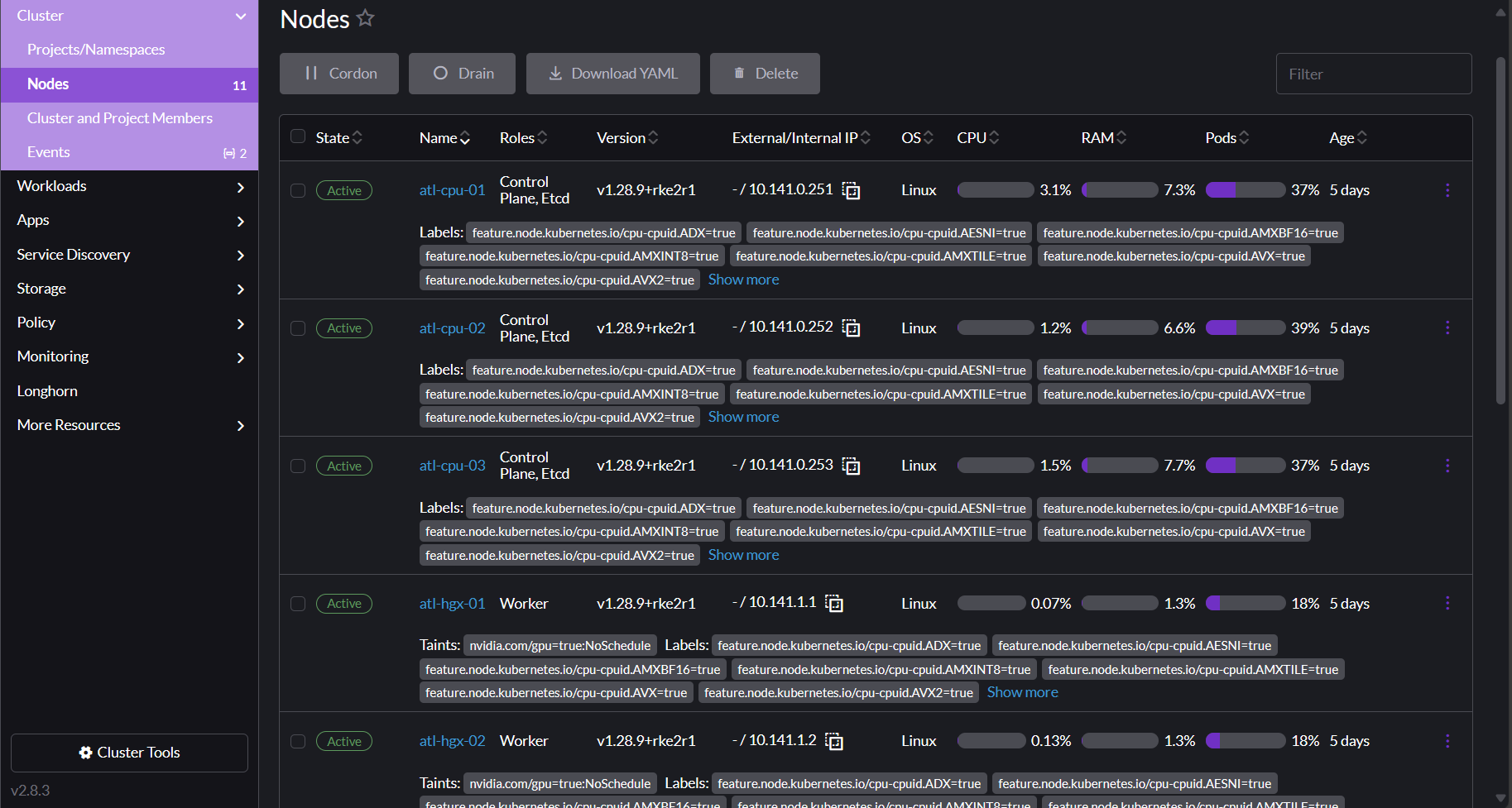 Nodes page in Rancher
